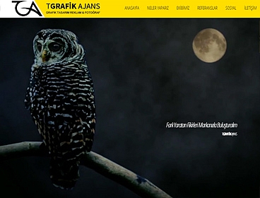 TGrafik Ajans web tasarımı